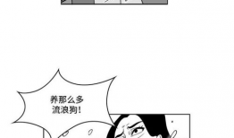 假面女郎漫画,揭开神秘面纱，探寻都市女性的真实心声